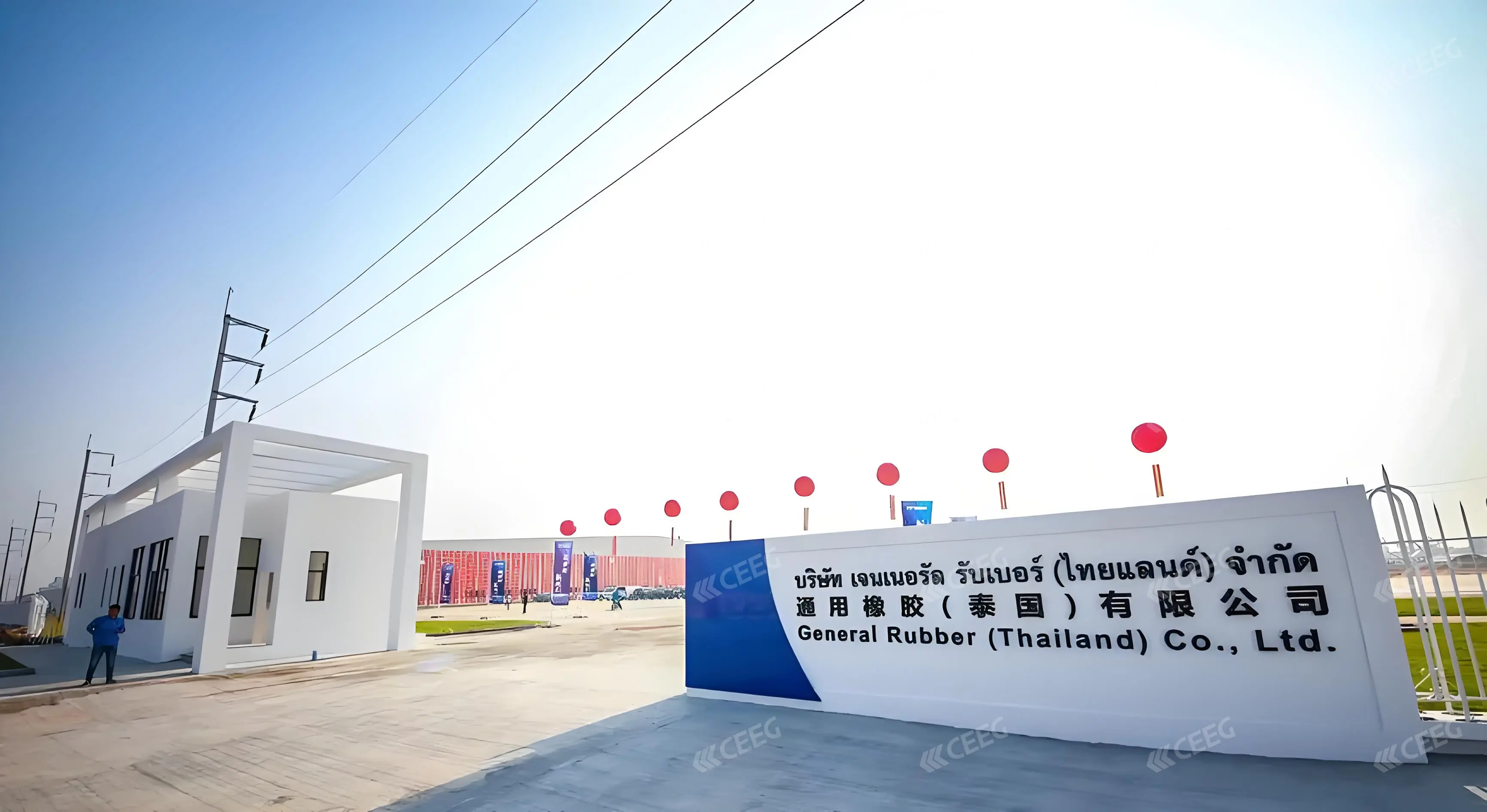 Proyecto de expansión general del caucho de Tailandia