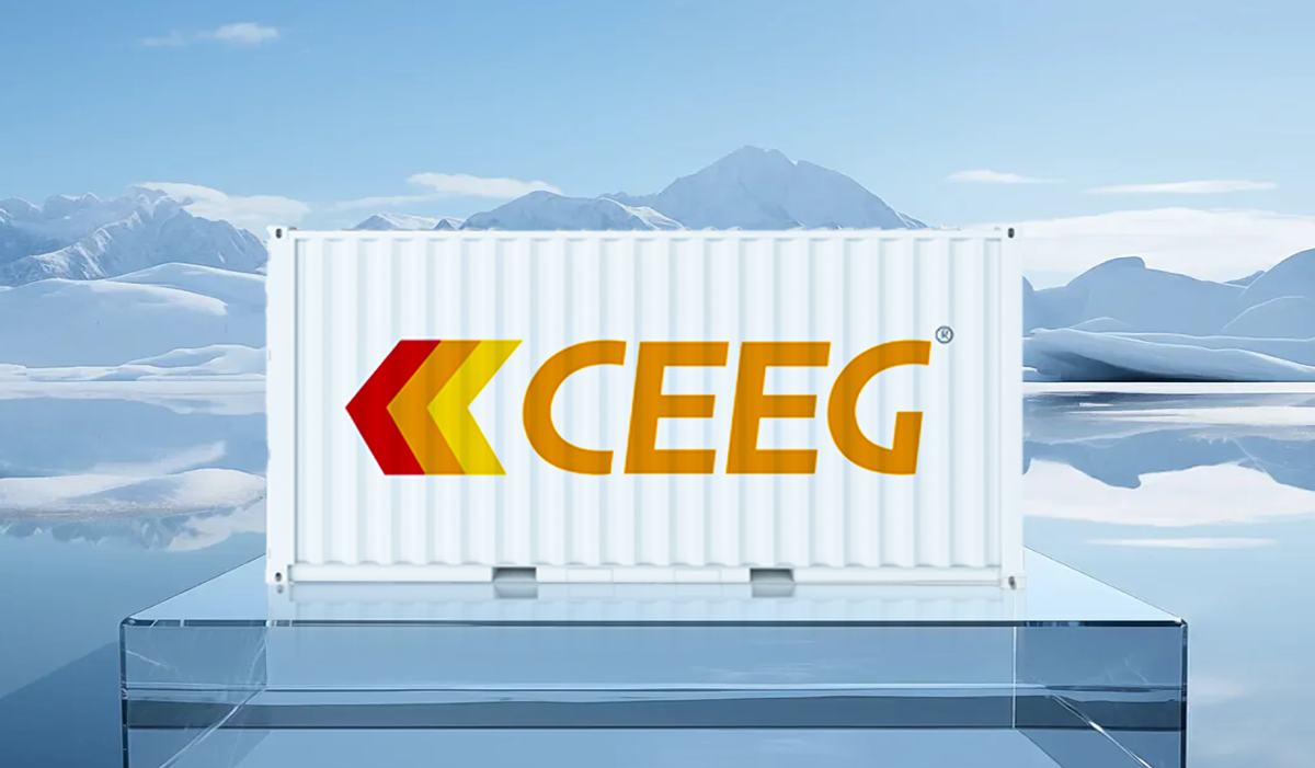 1000 kWh Industrial and Commercial Energy Storage System (2).png