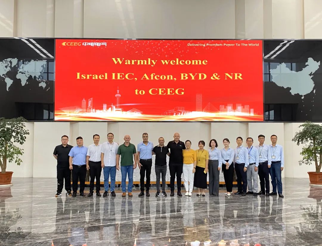 Afcon Energy Storage Project, Israel2.jpg